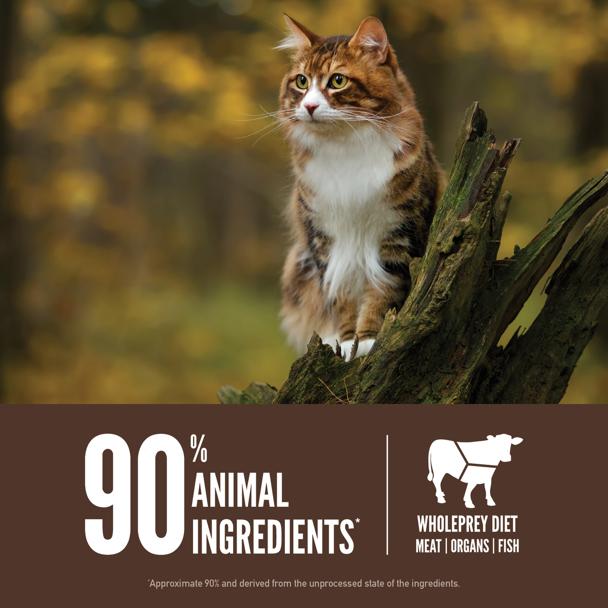Regional Red Red Meat Cat Food ORIJEN